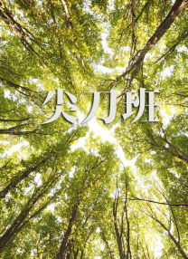一本久久a久久精品vr综合